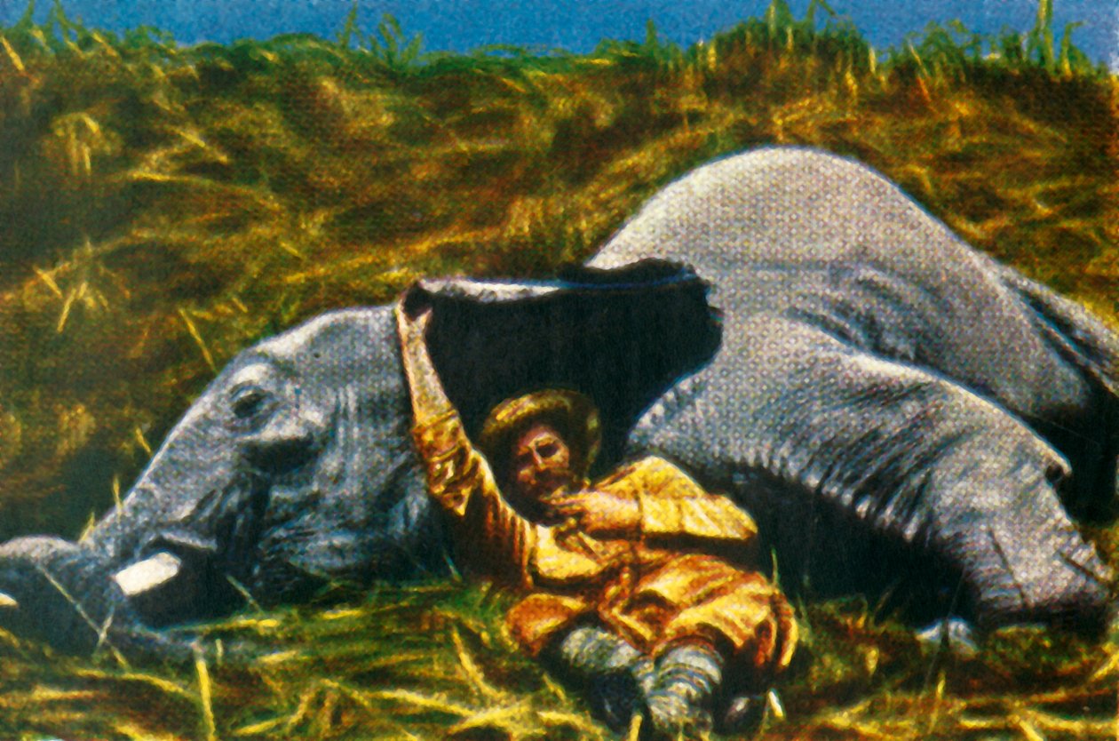 Cazador de trofeos con elefante muerto, c1928 de Unbekannt