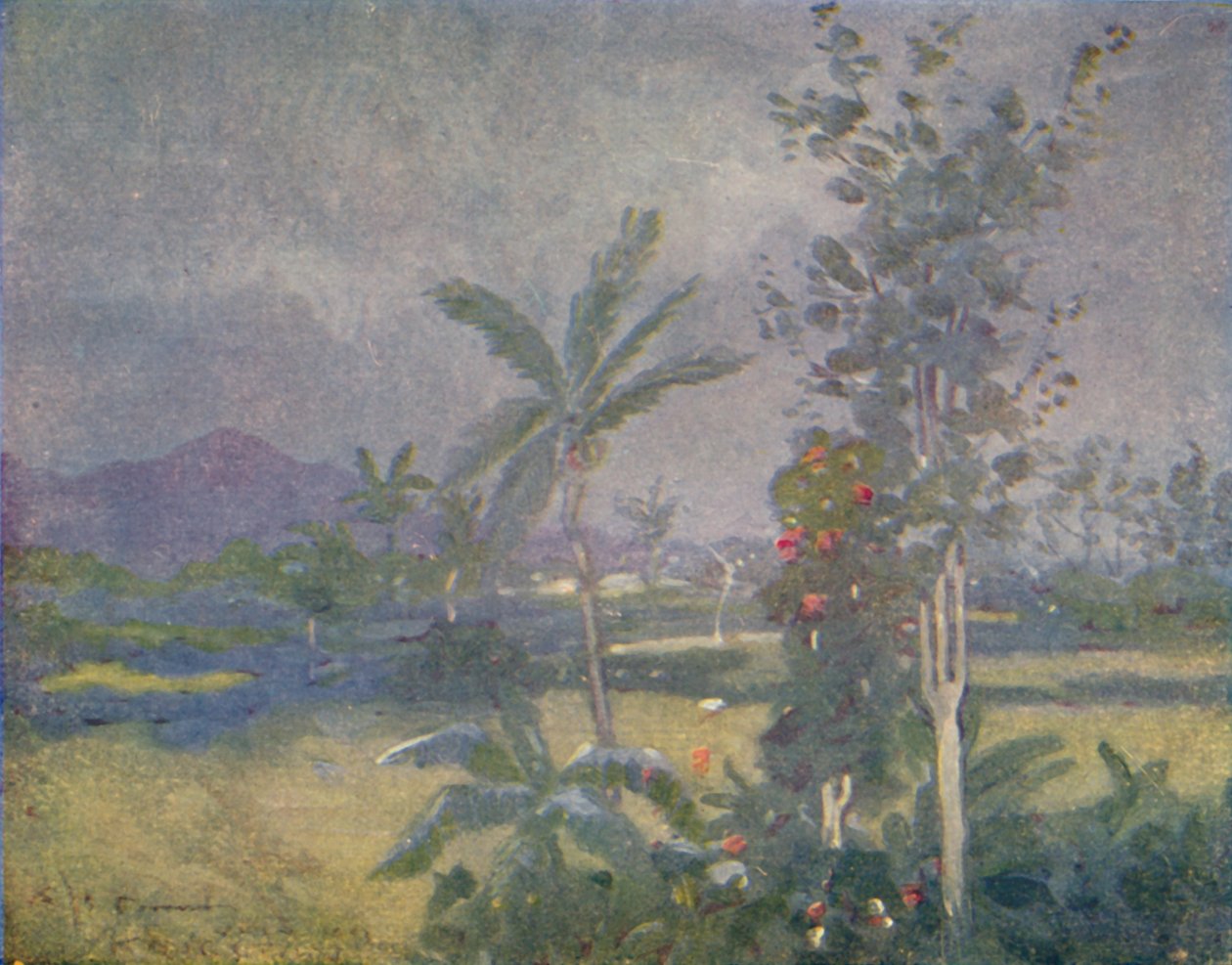 Lluvias tropicales en las Indias Occidentales, 1924 de Unbekannt