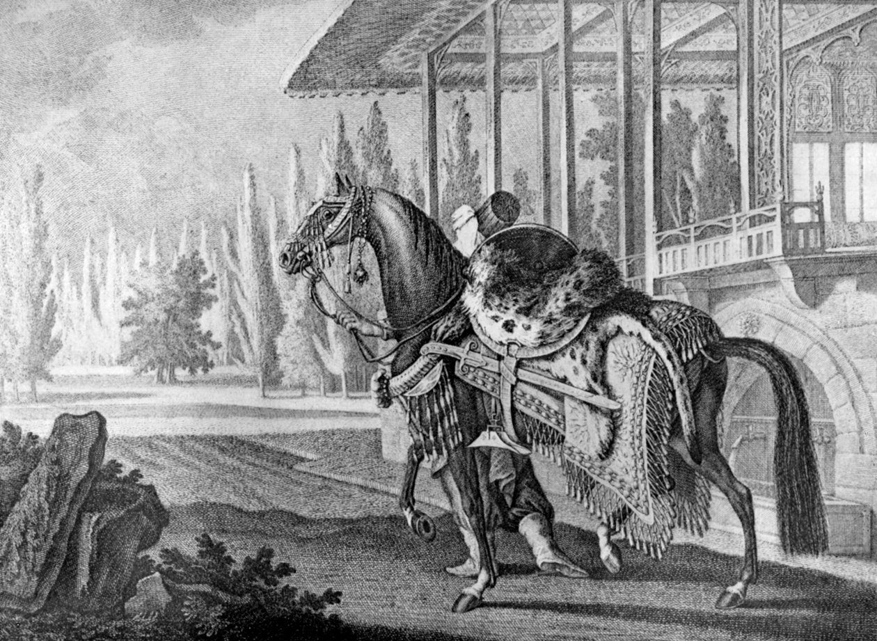 Caballo árabe del Pasha turco, 1722 1938 de Unbekannt