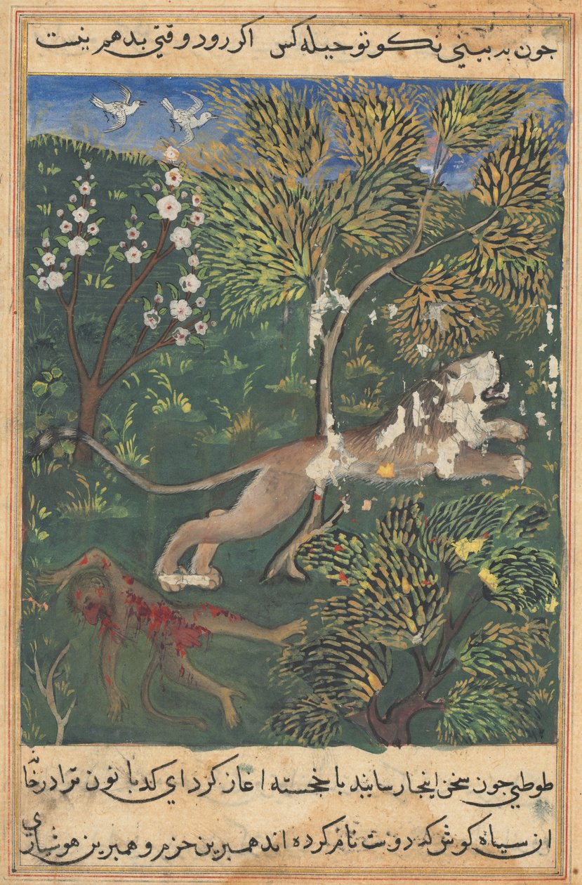 Tuti-Nama Cuentos de un loro: Cuento XXIX, c. 1560 de Unbekannt