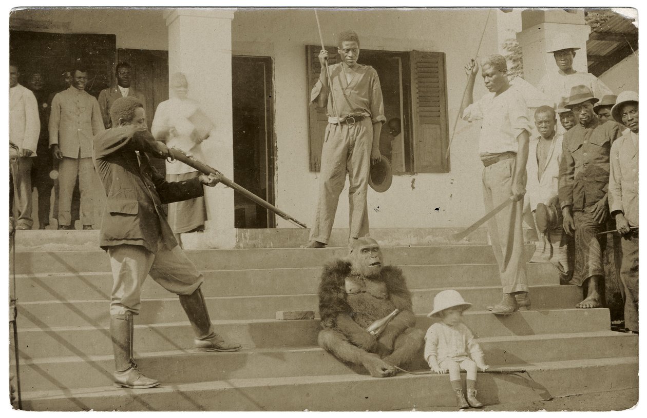 Un gorila domesticado, c.1910 de Unbekannt