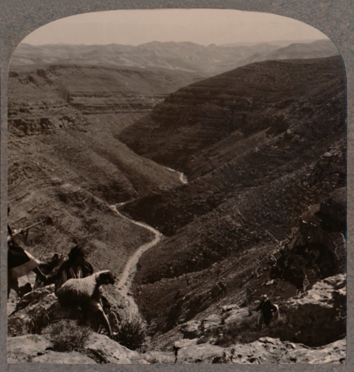 Valle del Arno, pastor y ovejas en primer plano, c1900 de Unbekannt