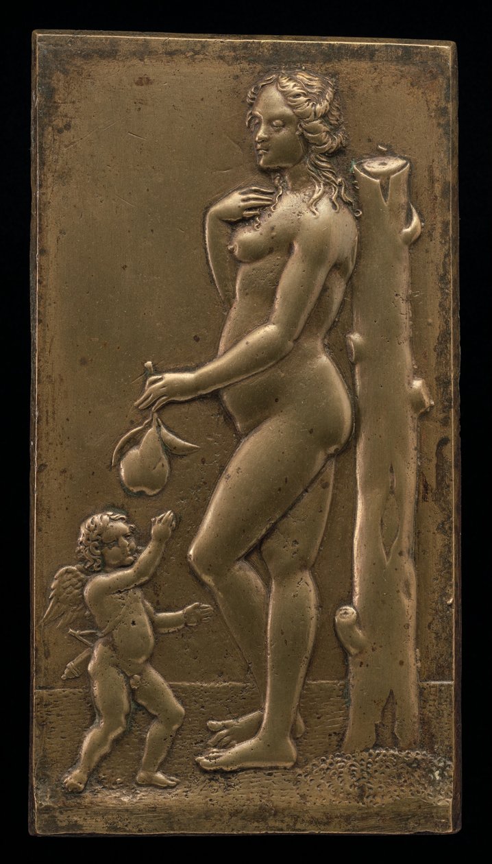 Venus y Cupido de Unbekannt