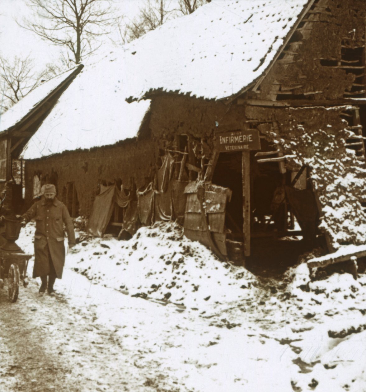 Estación veterinaria para caballos, Calonne, norte de Francia, c1914-c1918 de Unbekannt