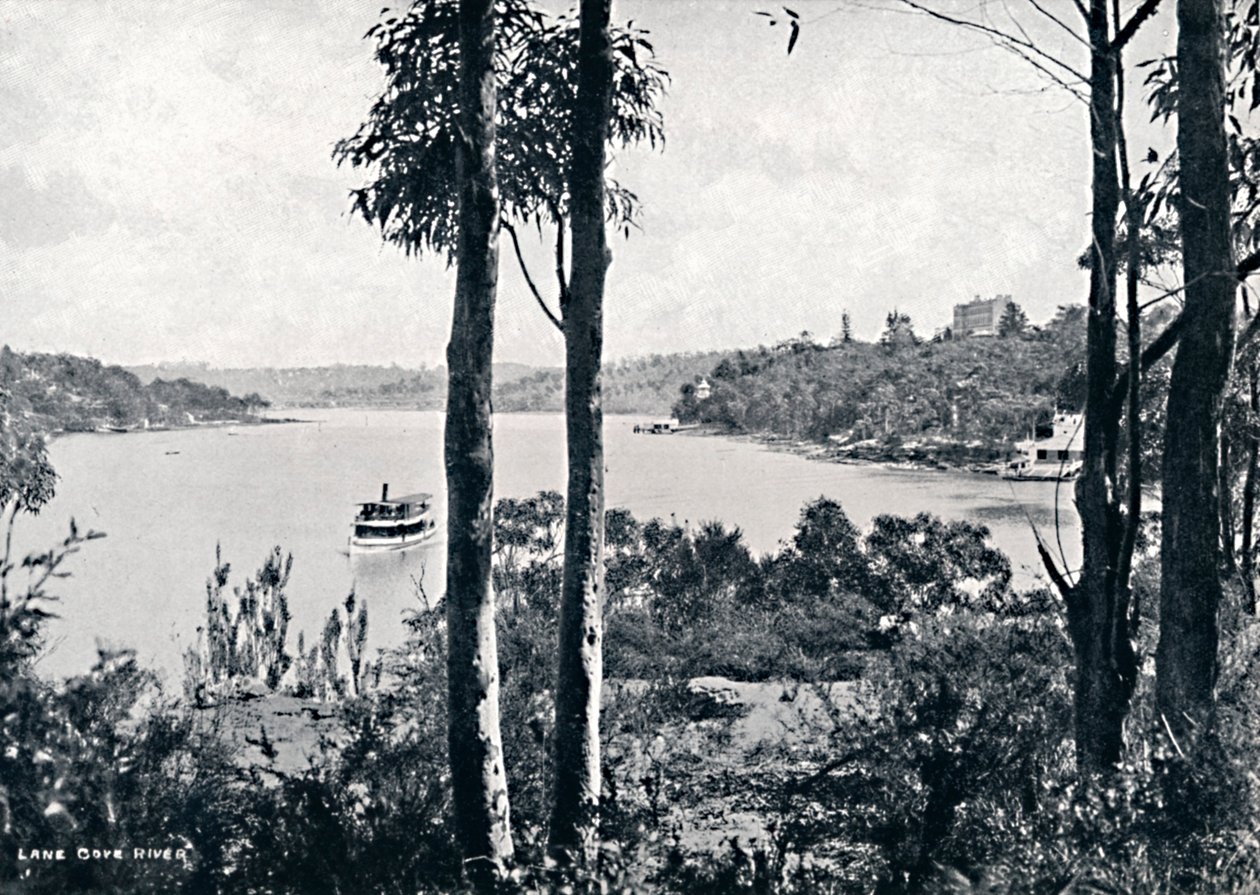 Vista del río Lane Cove, c1900 de Unbekannt