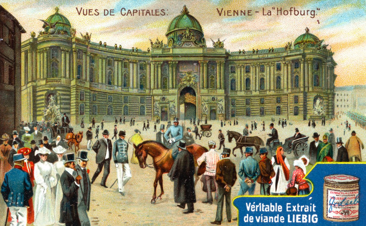 Vistas de capitales: El Hofburg, Viena, c1900 de Unbekannt