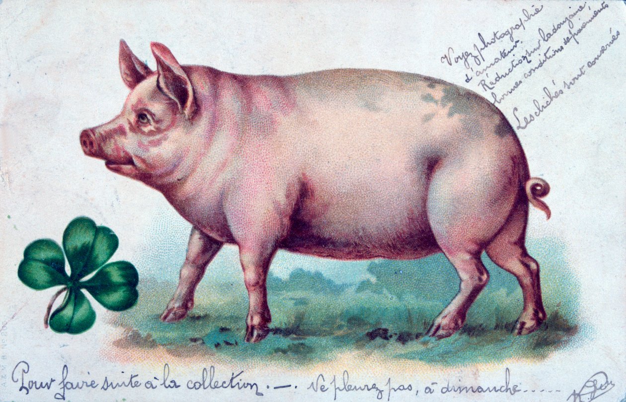 Postal francesa vintage, c1900 de Unbekannt