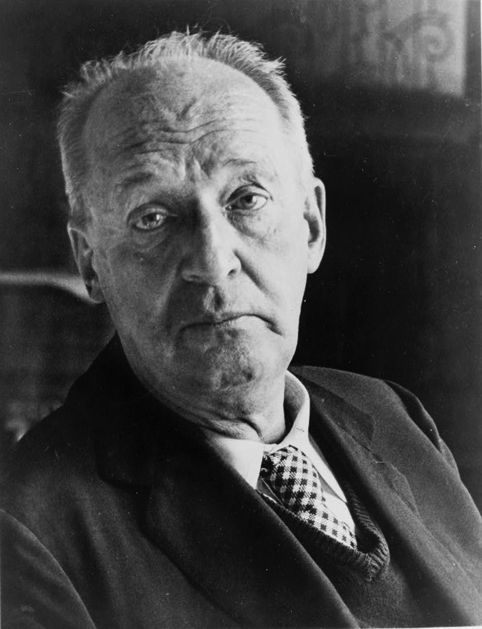 Vladimir Nabokov, autor ruso, siglo XX de Unbekannt