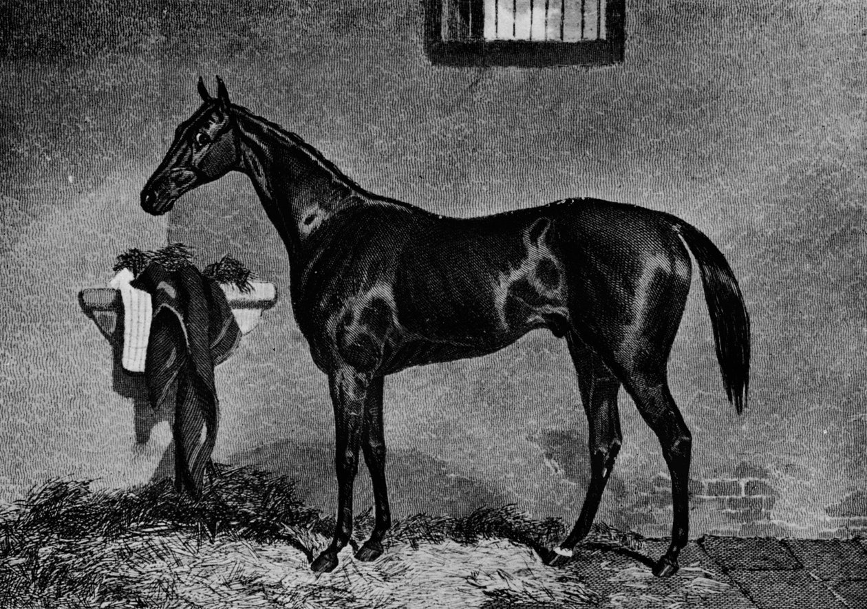Voltigeur, 1847-1874 de Unbekannt