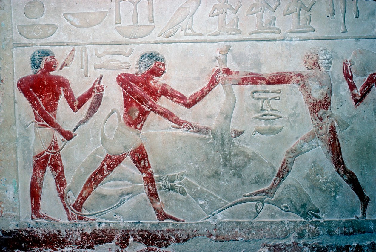 Pintura mural de 3 carniceros cortando una carcasa, Tumba de Idut, V Dinastía, c. 2350 a.C. de Unbekannt