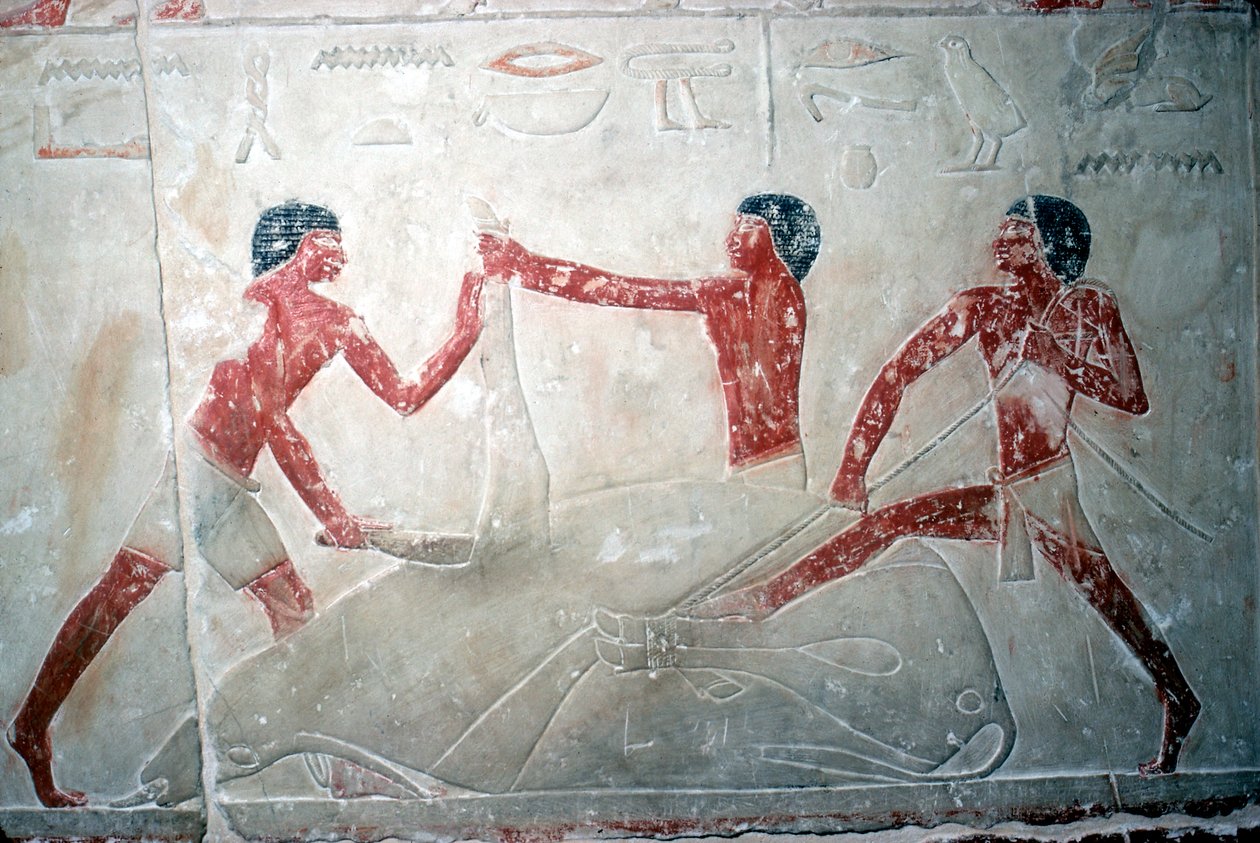 Pintura mural de 3 carniceros cortando una carcasa, Tumba de Idut, V Dinastía, c. 2350 a.C. de Unbekannt