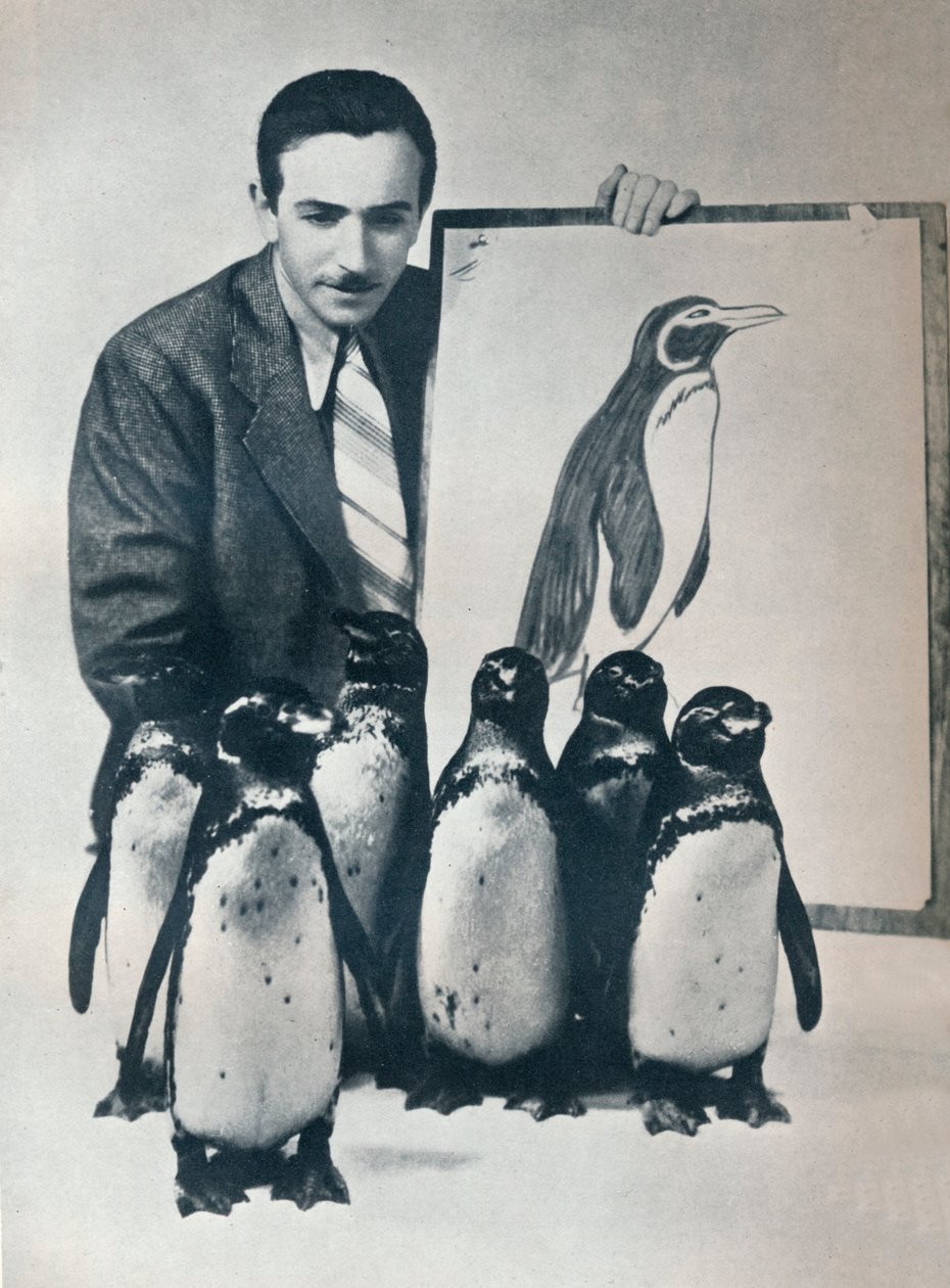 Walt Disney con pingüinos, 1934-1935 de Unbekannt