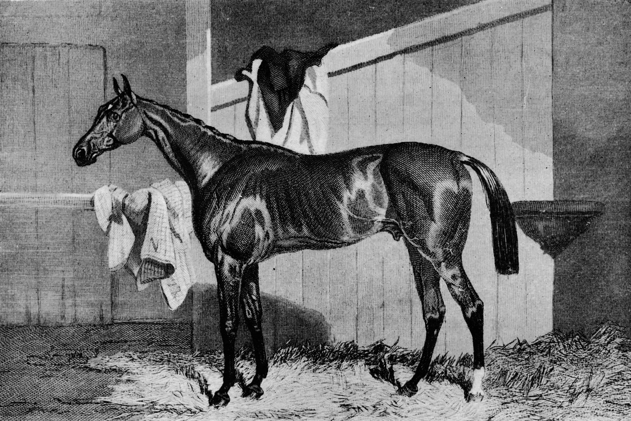 Hechicero, siglo XIX, 1911 de Unbekannt