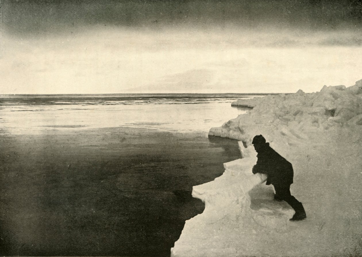 Observando focas en el borde del hielo, c1908, 1909 de Unbekannt