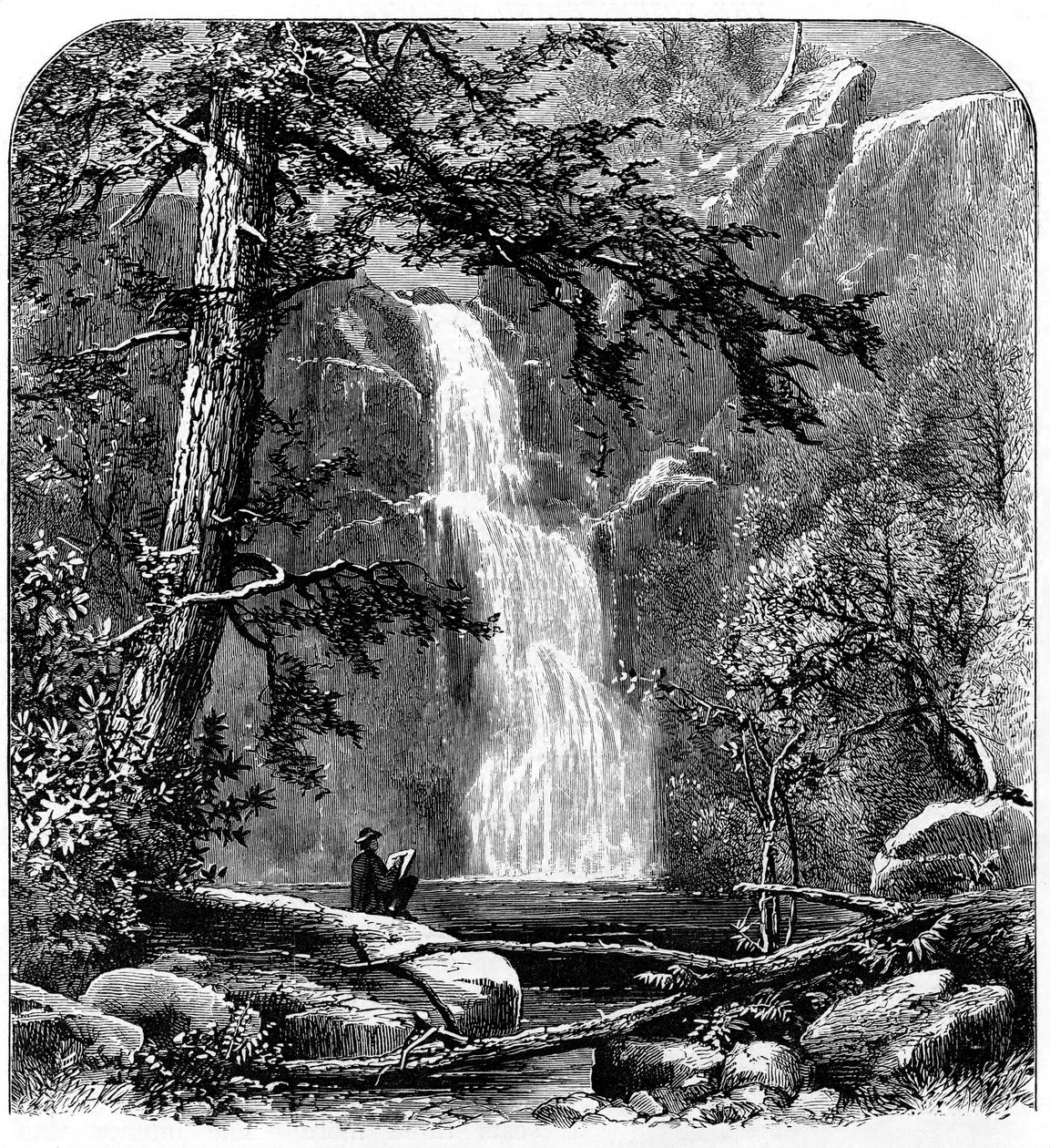 Cascada en el Valle de Yosemite, California, EE.UU., c1875 de Unbekannt