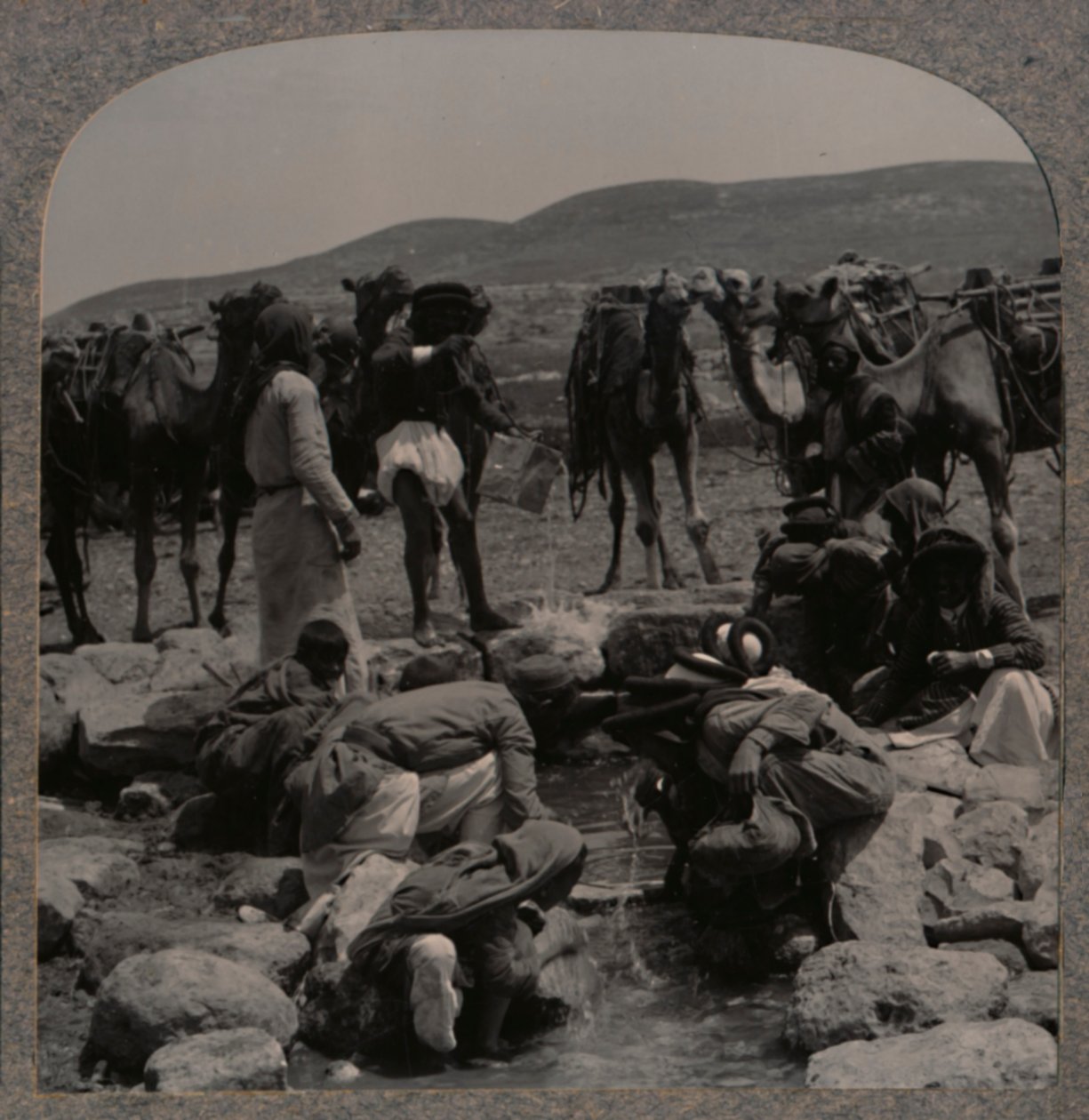 Abrevando camellos en el Pozo de Jacob, c1900 de Unbekannt