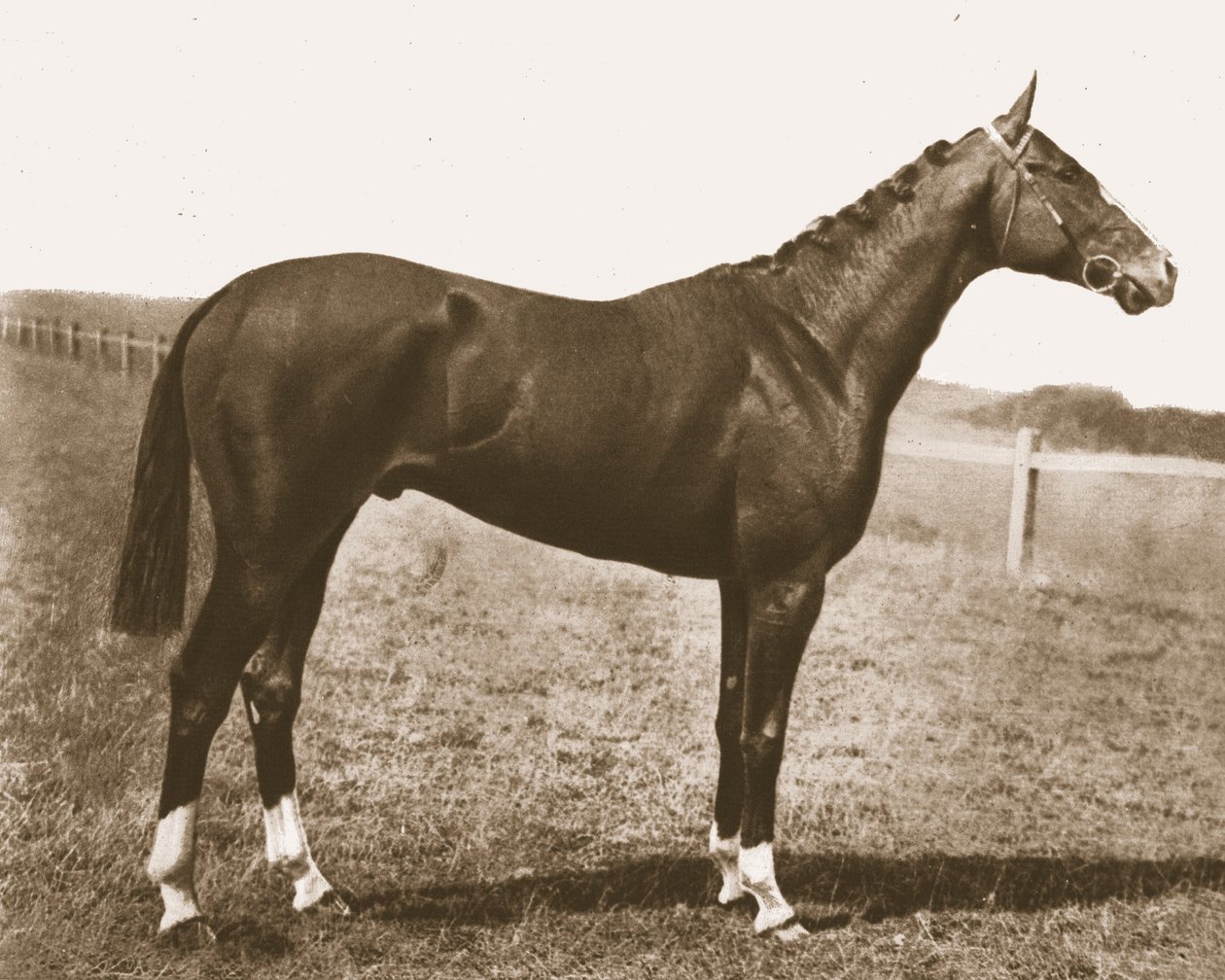 Veleta, 1911 de Unbekannt