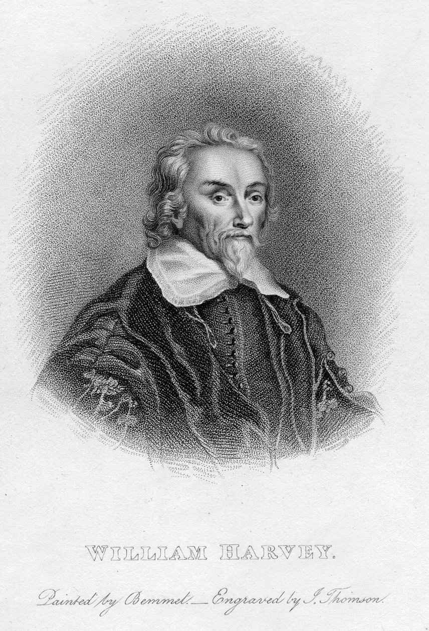 William Harvey 1578-1657 médico inglés, siglo XVII de Unbekannt