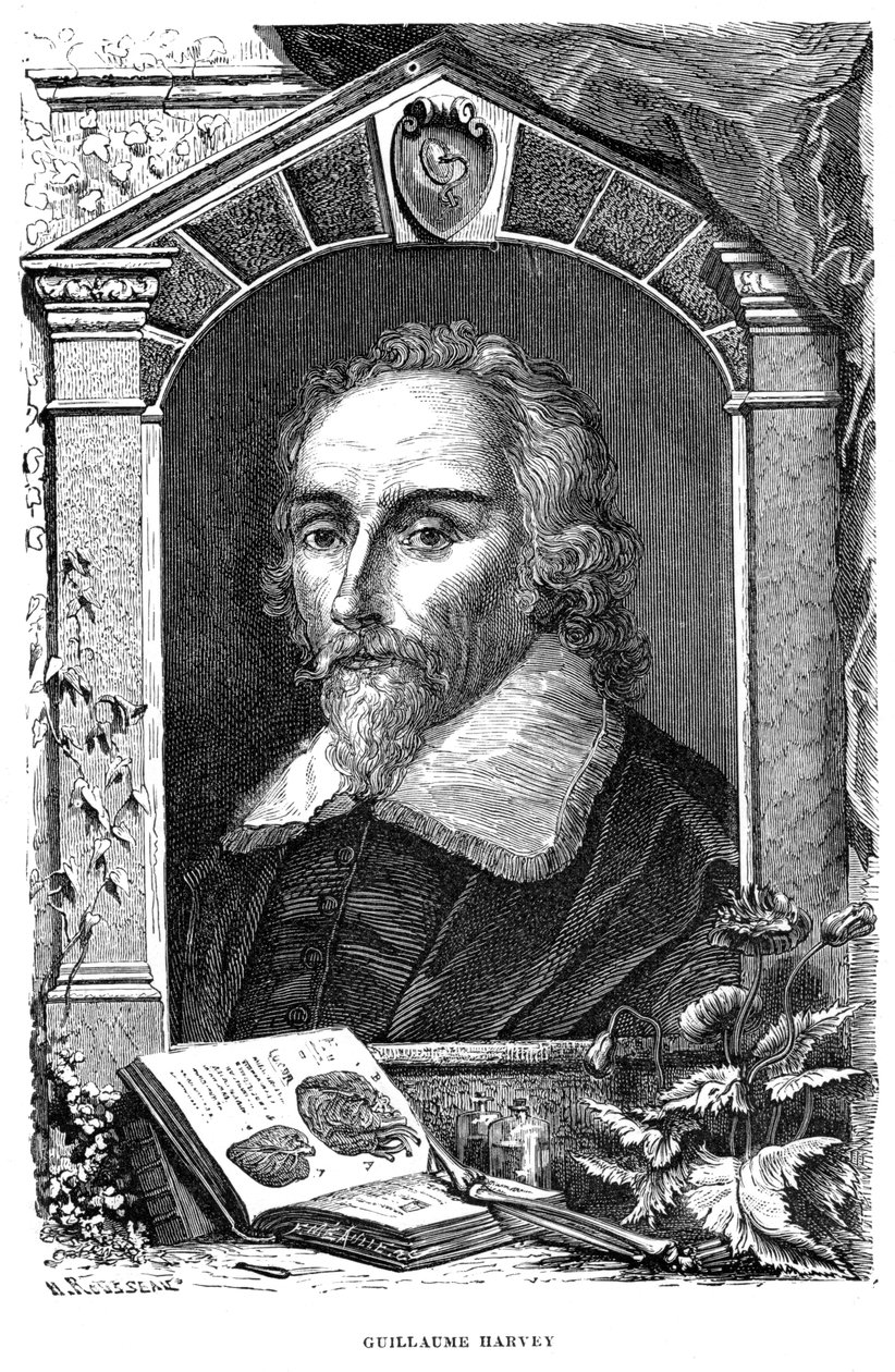 William Harvey 1578-1657 médico inglés, siglo XVII de Unbekannt