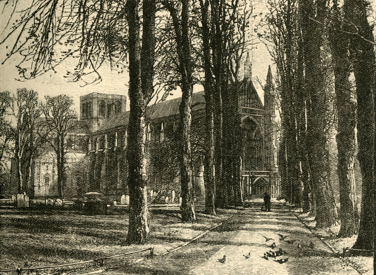 Catedral de Winchester, desde el noroeste, 1898 de Unbekannt