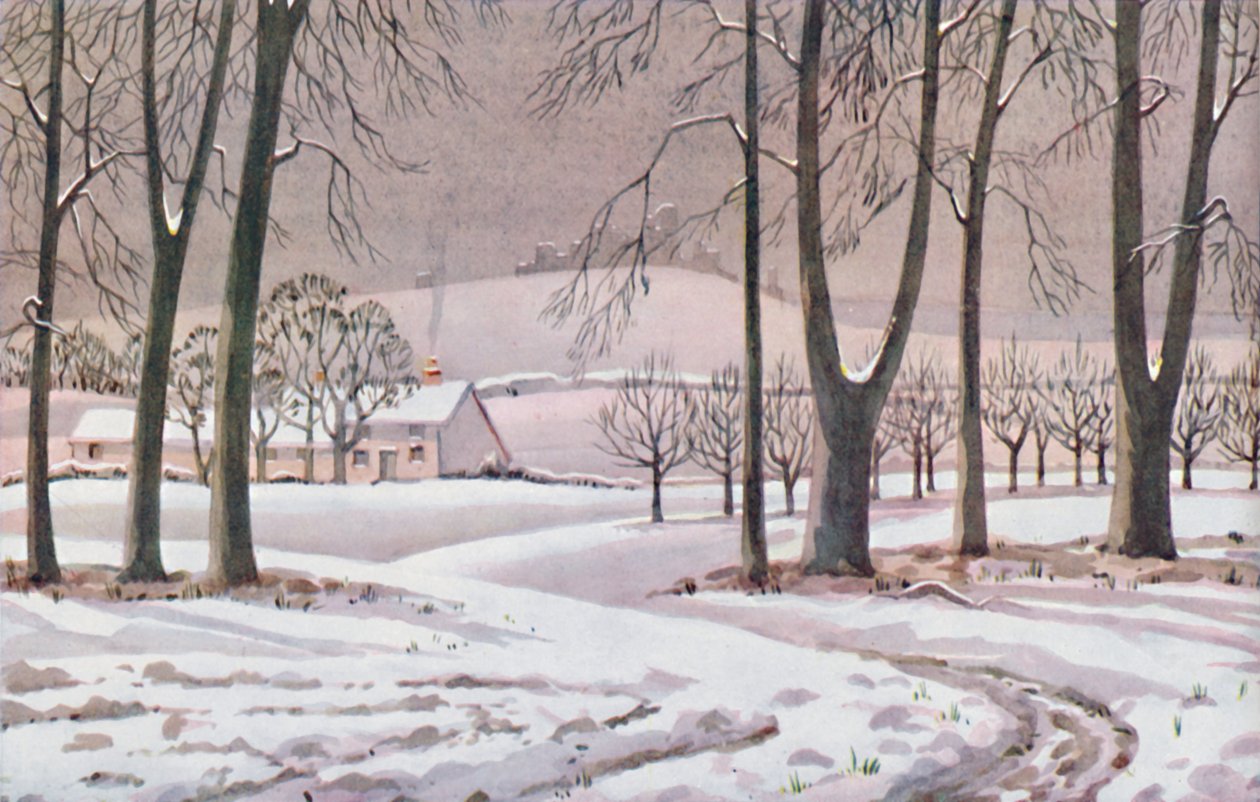 Invierno - Los cambios físicos, químicos y biológicos provocados por el sol durante el año, 1935 de Unbekannt