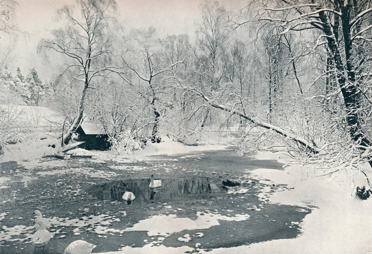 Vista invernal del museo al aire libre en Skansen, c1900 de Unbekannt
