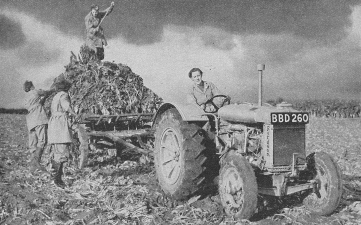Ejército de Mujeres levantando una cosecha, Segunda Guerra Mundial, 1940 de Unbekannt