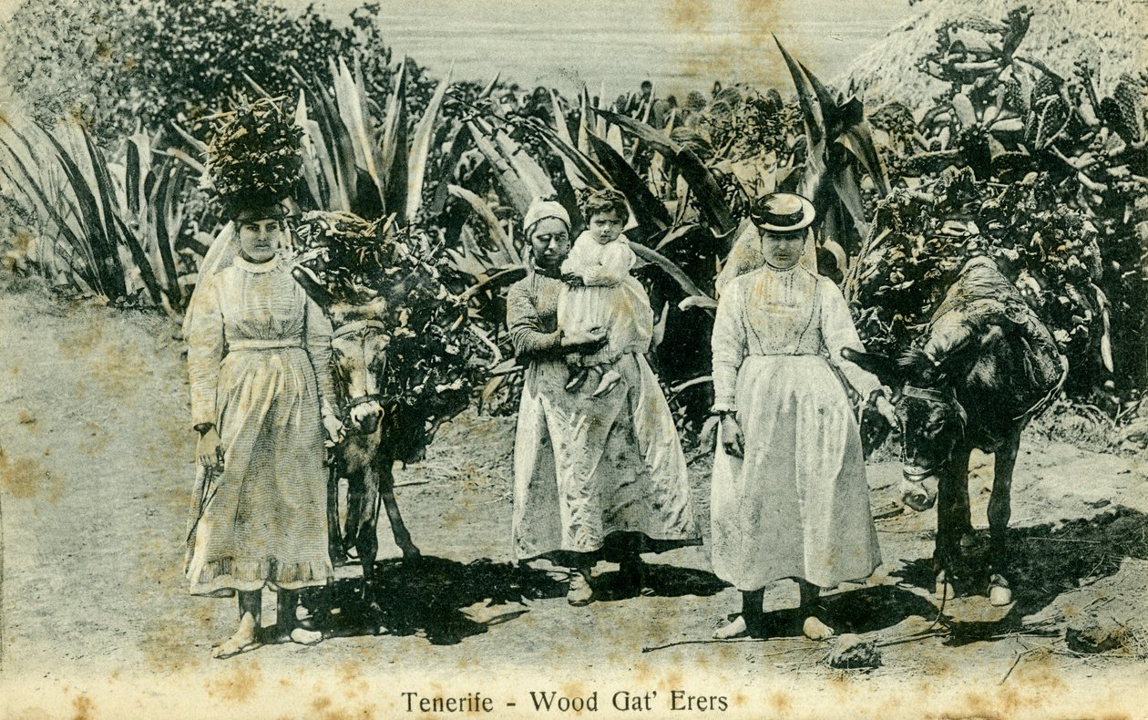 Recolectores de leña, Tenerife, Islas Canarias, principios del siglo XX de Unbekannt