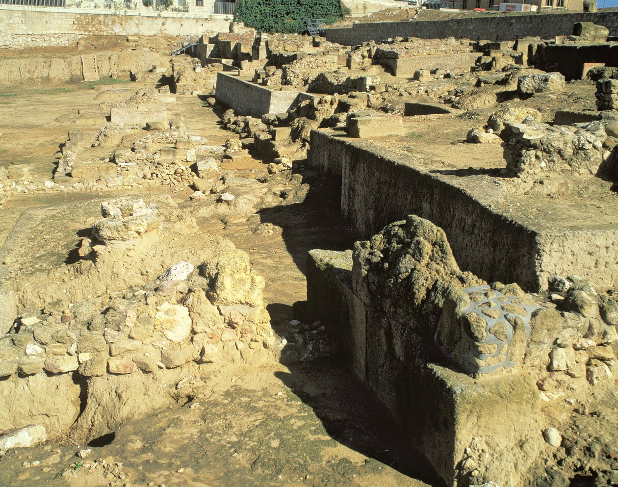 Restos arqueológicos de la colonia griega, siglos VI-V a.C. de Unbekannt Unbekannt