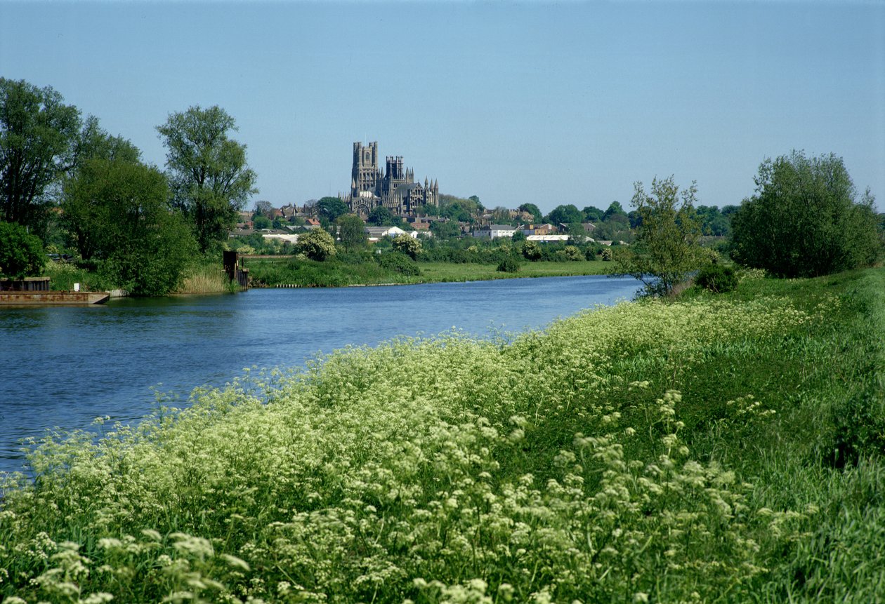 Catedral de Ely y el Río Ouse de Unbekannt Unbekannt