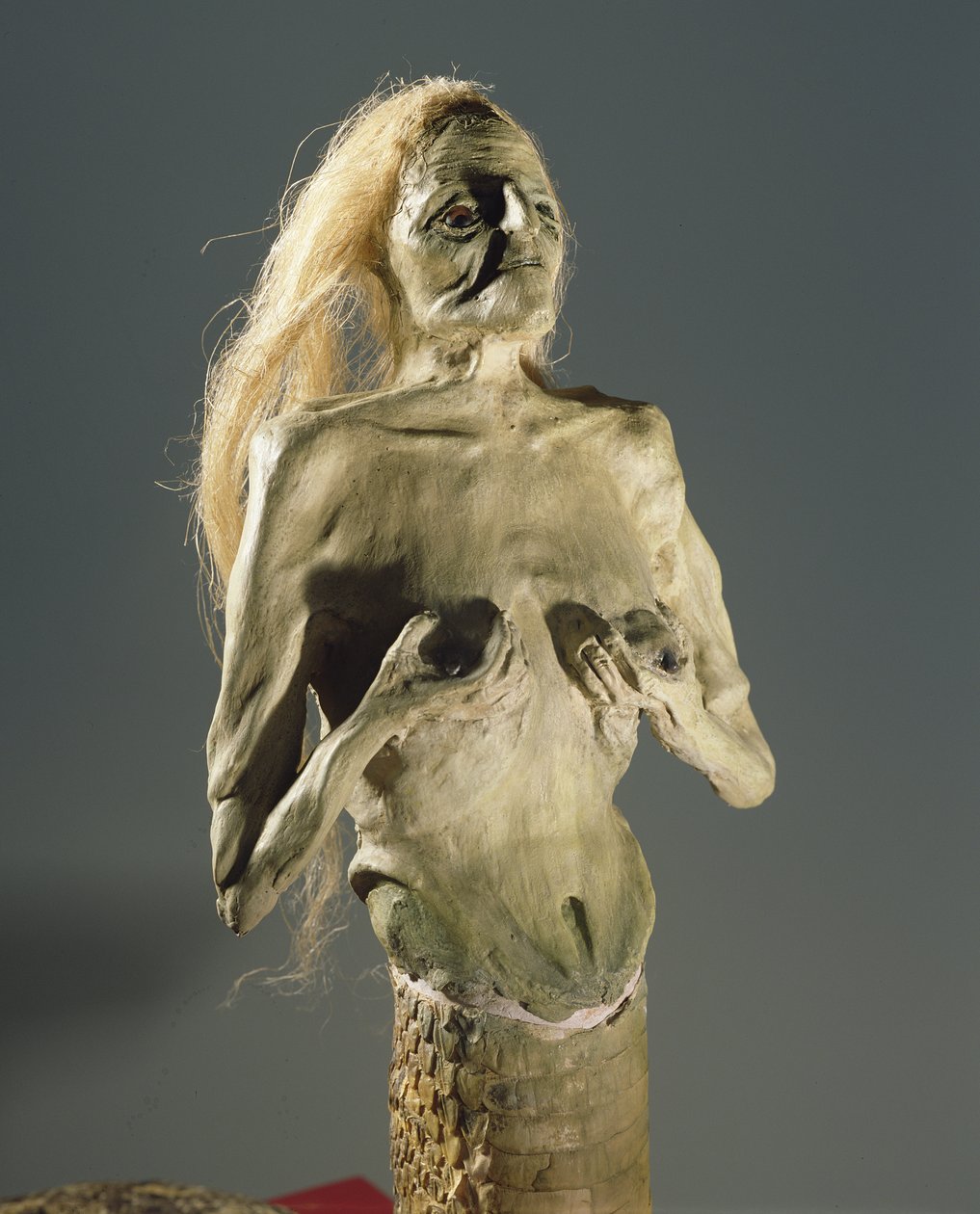 Criatura mitad mujer, mitad serpiente, descendiente de Melusina, 1900 de Unbekannt Unbekannt