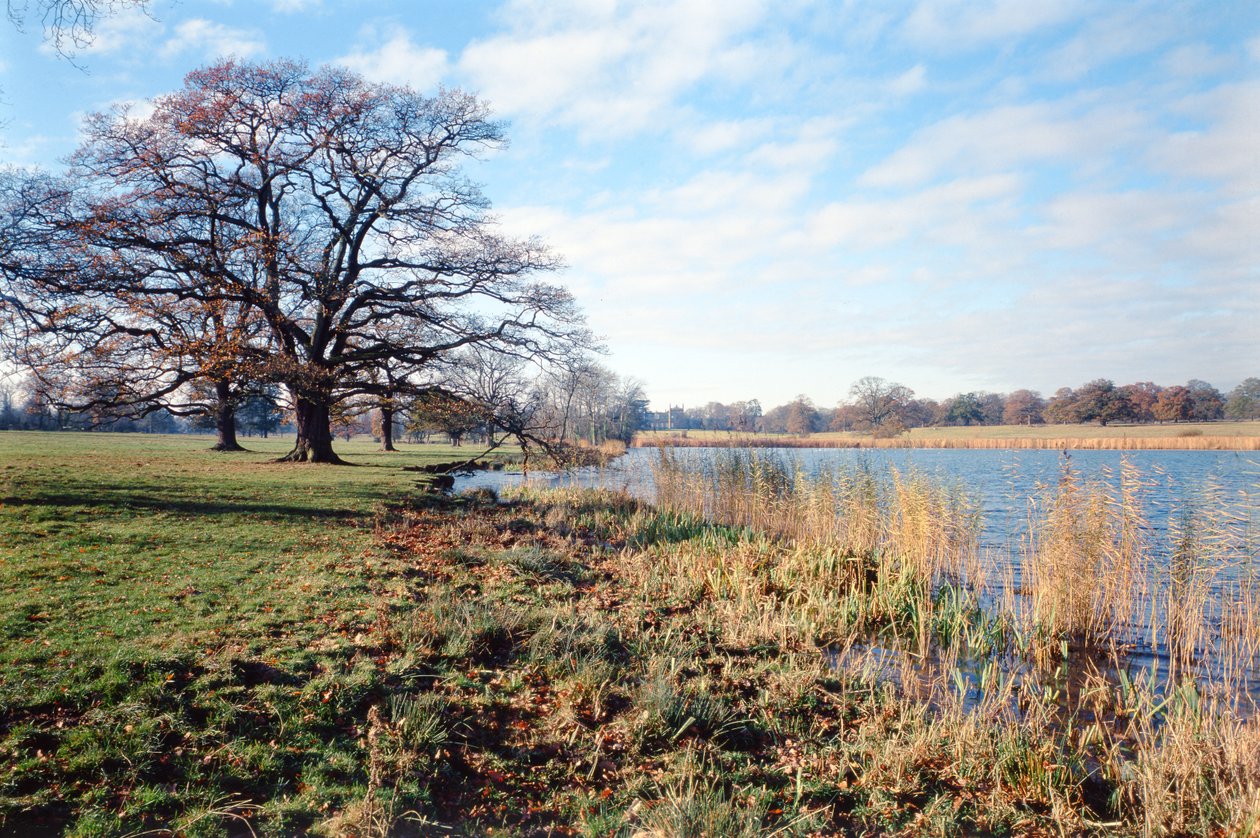 Vista del lago, Corsham Court, Wiltshire de Unbekannt Unbekannt