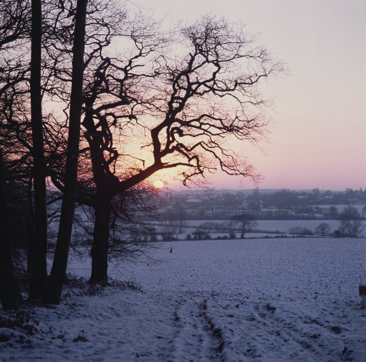 Escena de invierno en la nieve, Hockley, Essex de Unbekannt Unbekannt