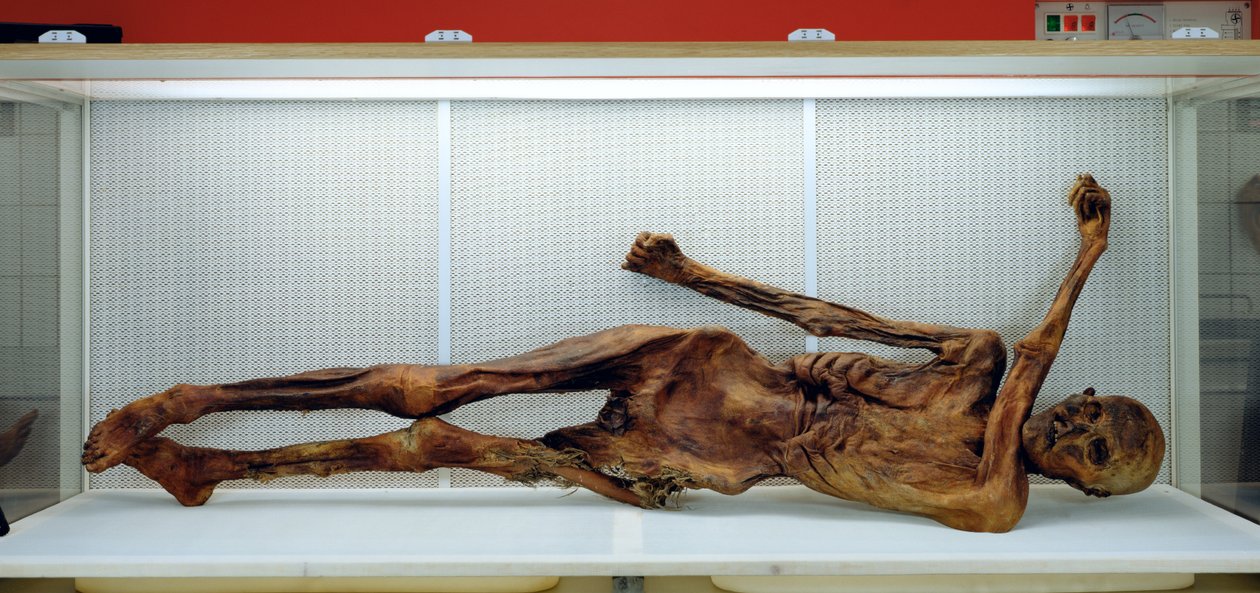 El Hombre de Hielo Ötzi de Unbekannt Unbekannt