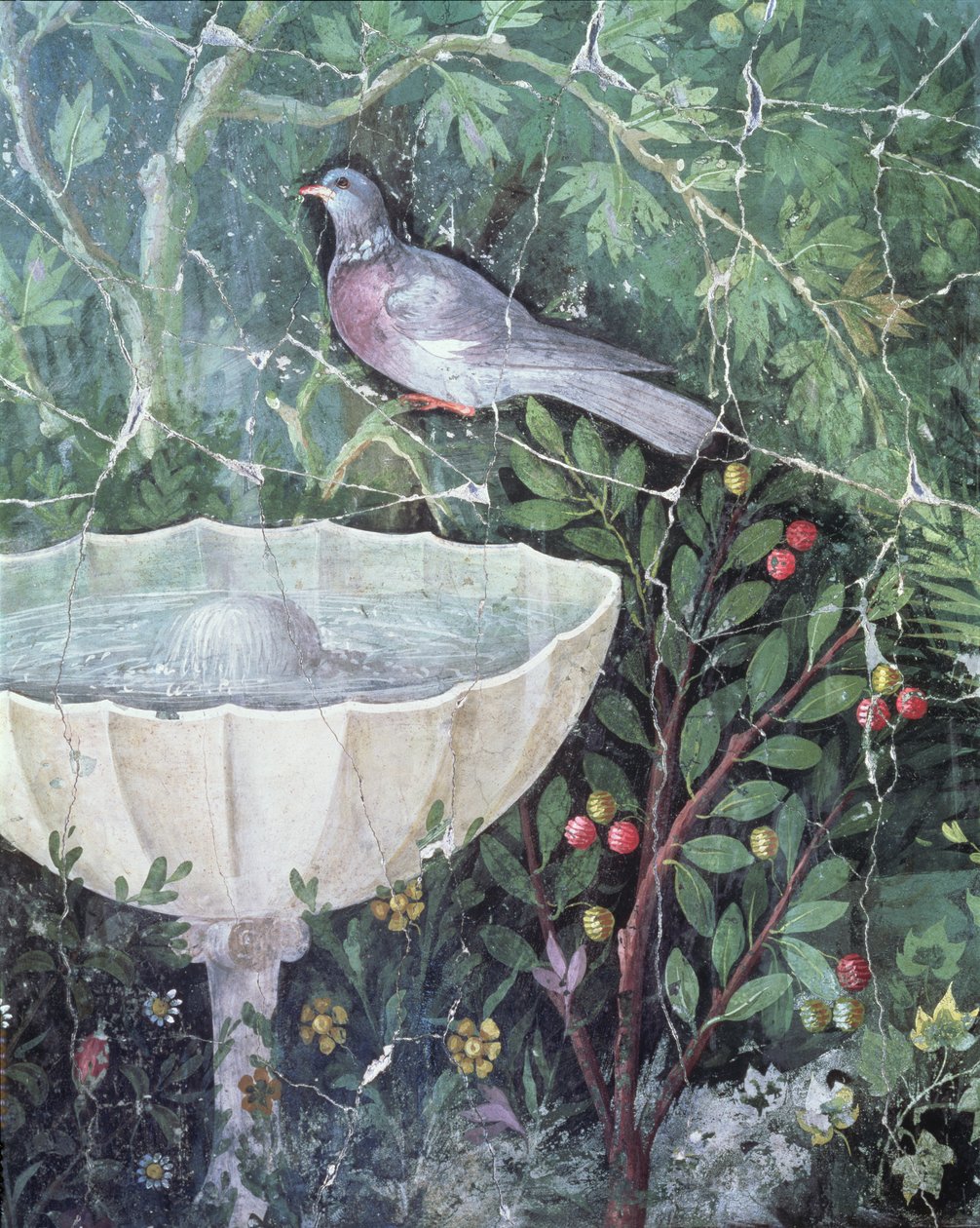 Pintura mural de una paloma en un jardín junto a una fuente, Casa del Brazalete de Oro, Pompeya, siglo I d.C. de Unbekannt Unbekannt