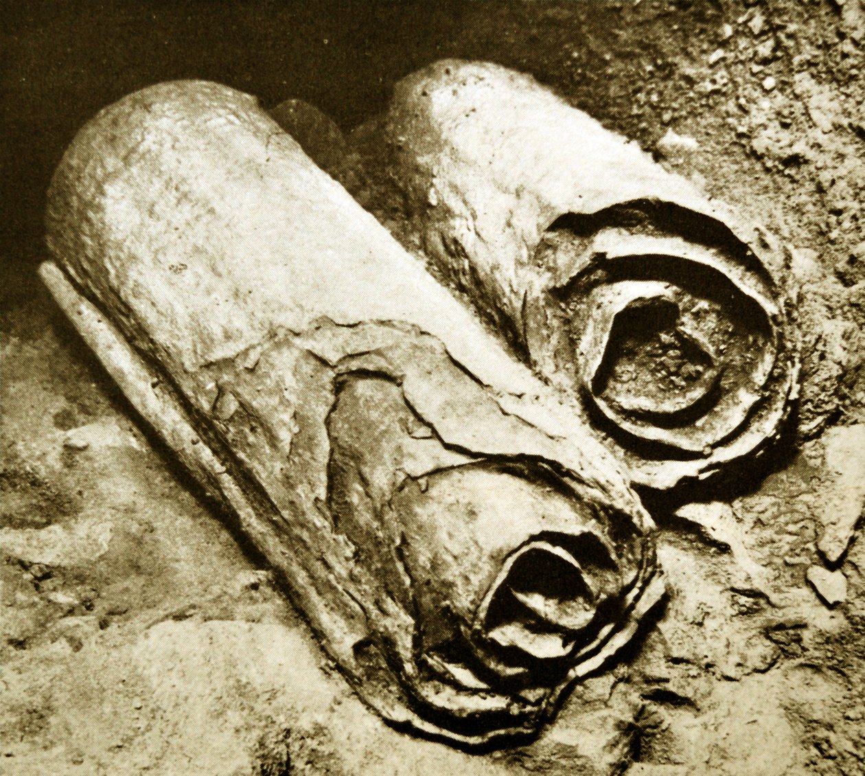 Excavación de los Rollos del Mar Muerto, 1950 de Unbekannt Unbekannt