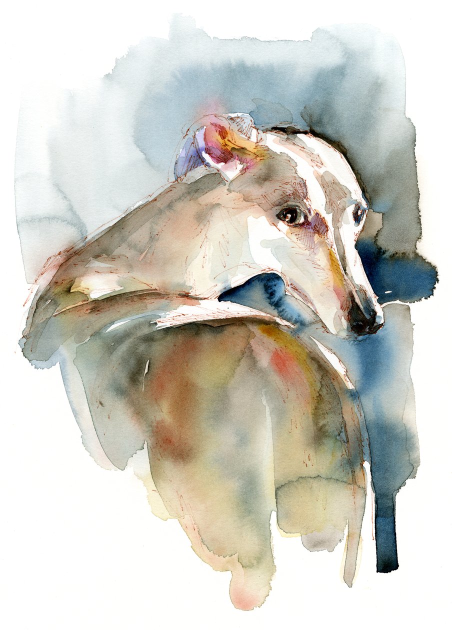 Esperanza de galgo, 2016 de Unbekannt Unbekannt