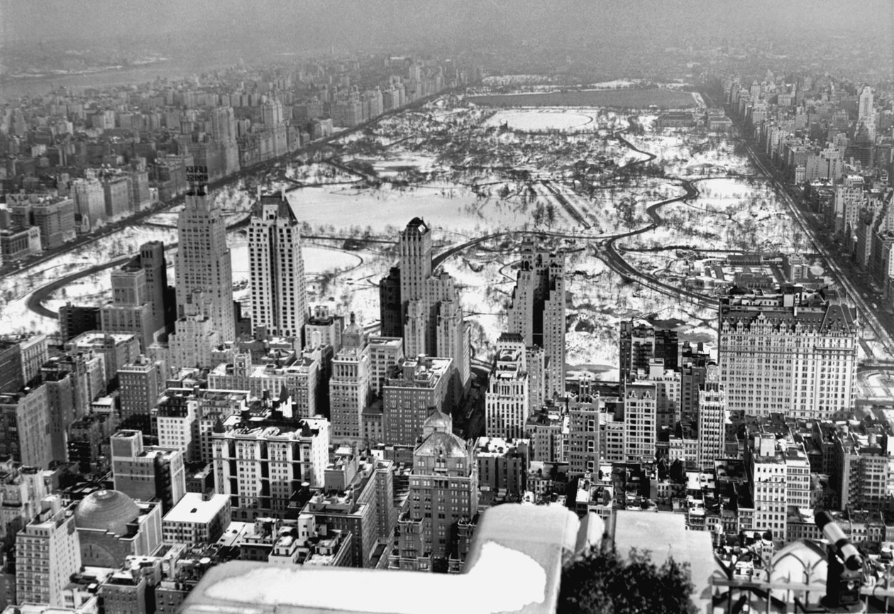 Vista de Midtown y Central Park de Unbekannt Unbekannt