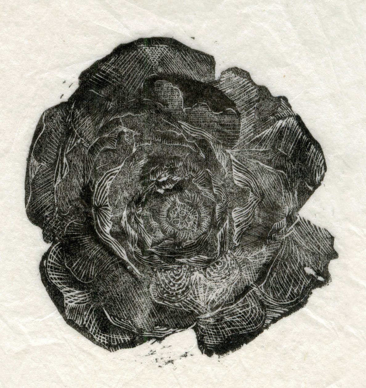 Rosa de pino, 2014 de Unbekannt Unbekannt