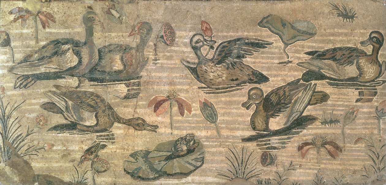 Escena de aves acuáticas en el Nilo de la Casa del Fauno, Pompeya, siglo II a.C. de Unbekannt Unbekannt
