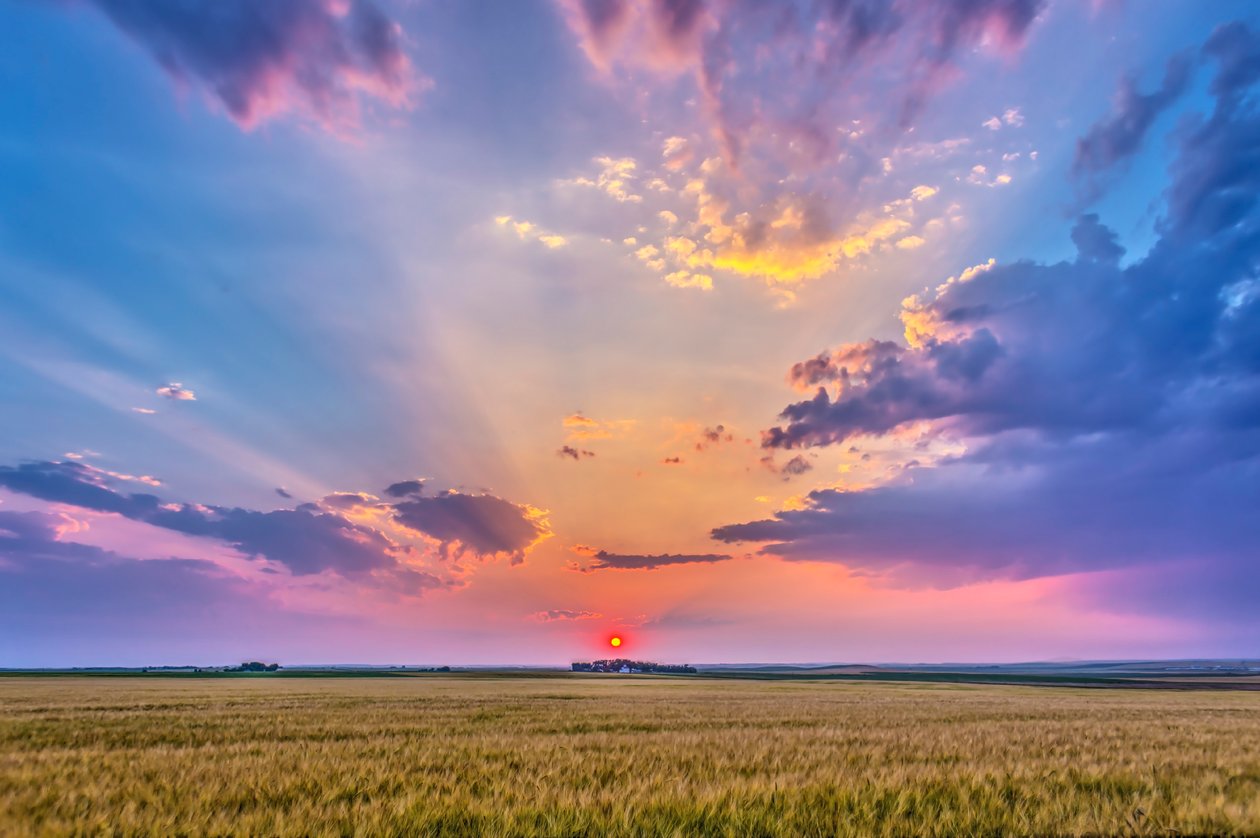 El sol rojo poniente en la neblina, proyectando sombras a través del cielo - rayos crepusculares - e iluminando las nubes, sobre un campo de trigo madurando cerca de casa en Alberta, 6 de agosto de 2014 de Unbekannt Unbekannt