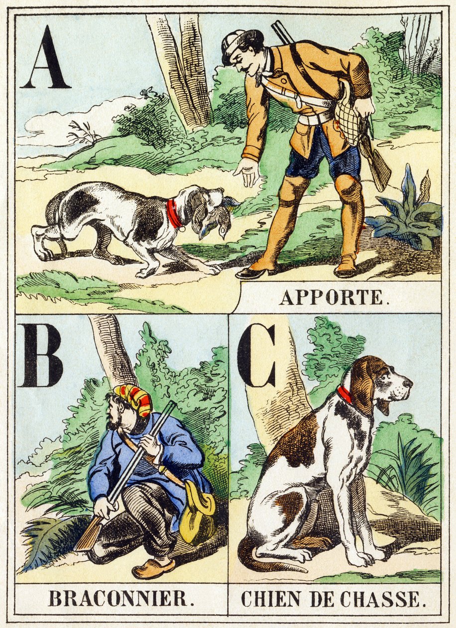 A B C: Apporte, Cazador furtivo, Perro de caza - El Alfabeto de la Caza, c.1890 de Unbekannt