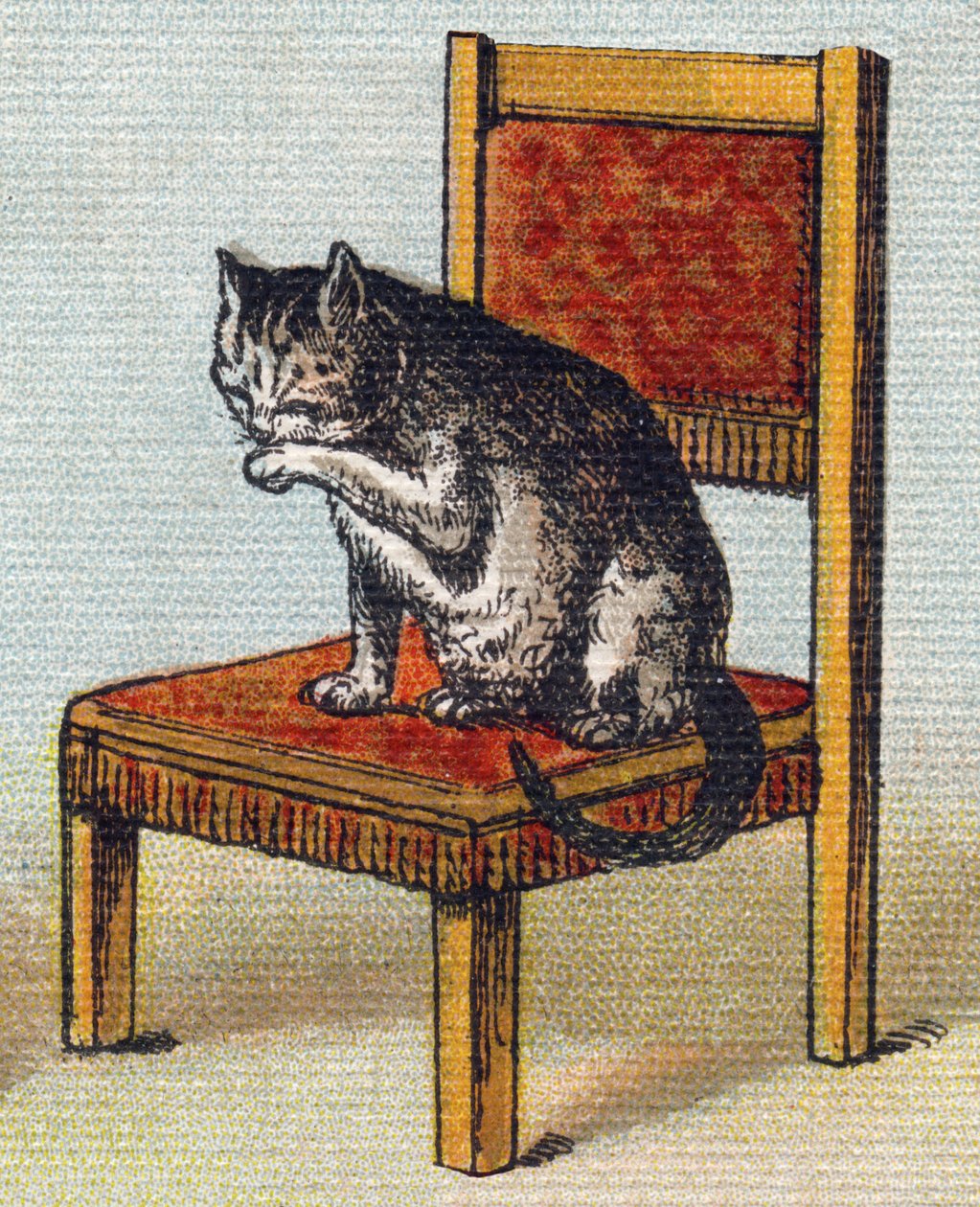 Un gato en una silla. Grabado en "Alphabet de ma petite fille". Bernardin-Bechet y Fils, libreros-editores, París, alrededor de 1895. Álbum irrompible sobre lienzo. Biblioteca de Bebés. 12 páginas. Álbum que contiene un método de lectura y un abecedario il de Unbekannt