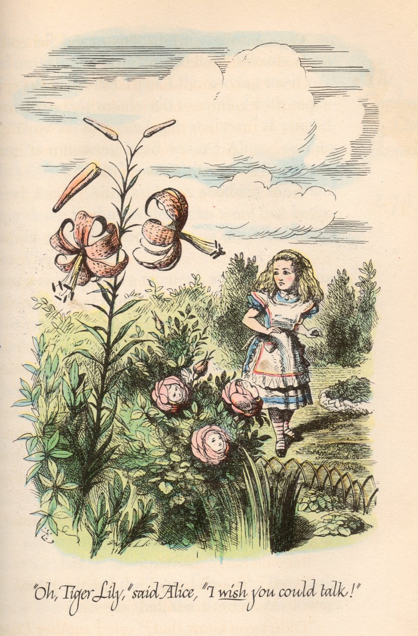 Alicia en el País de las Maravillas y A través del espejo, de Lewis Carroll, ilustrado por John Tenniel de Unbekannt