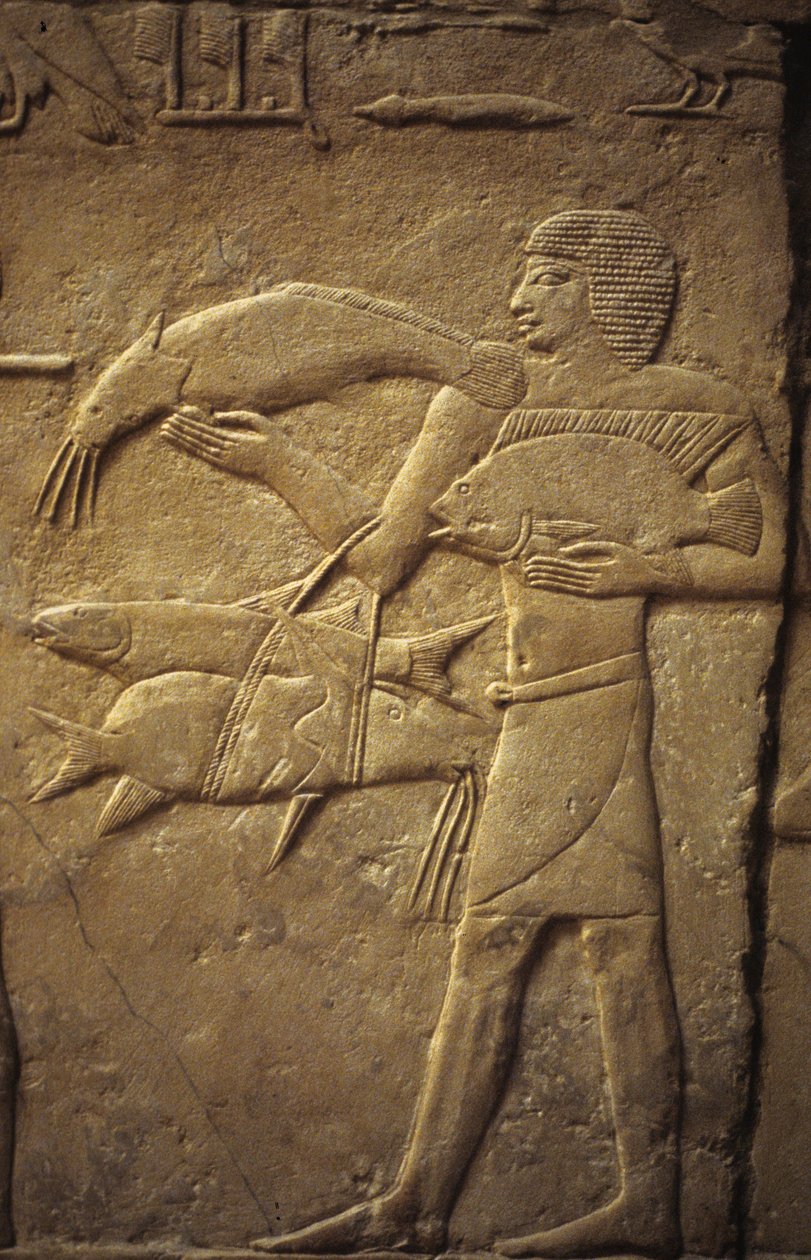 Antiguo Egipto: Saqqarah (o Saqqara o Sakkarah): necrópolis del Antiguo Imperio, tumba de noble.. Detalle de relieves que representan a un pescador. de Leopold Blonder