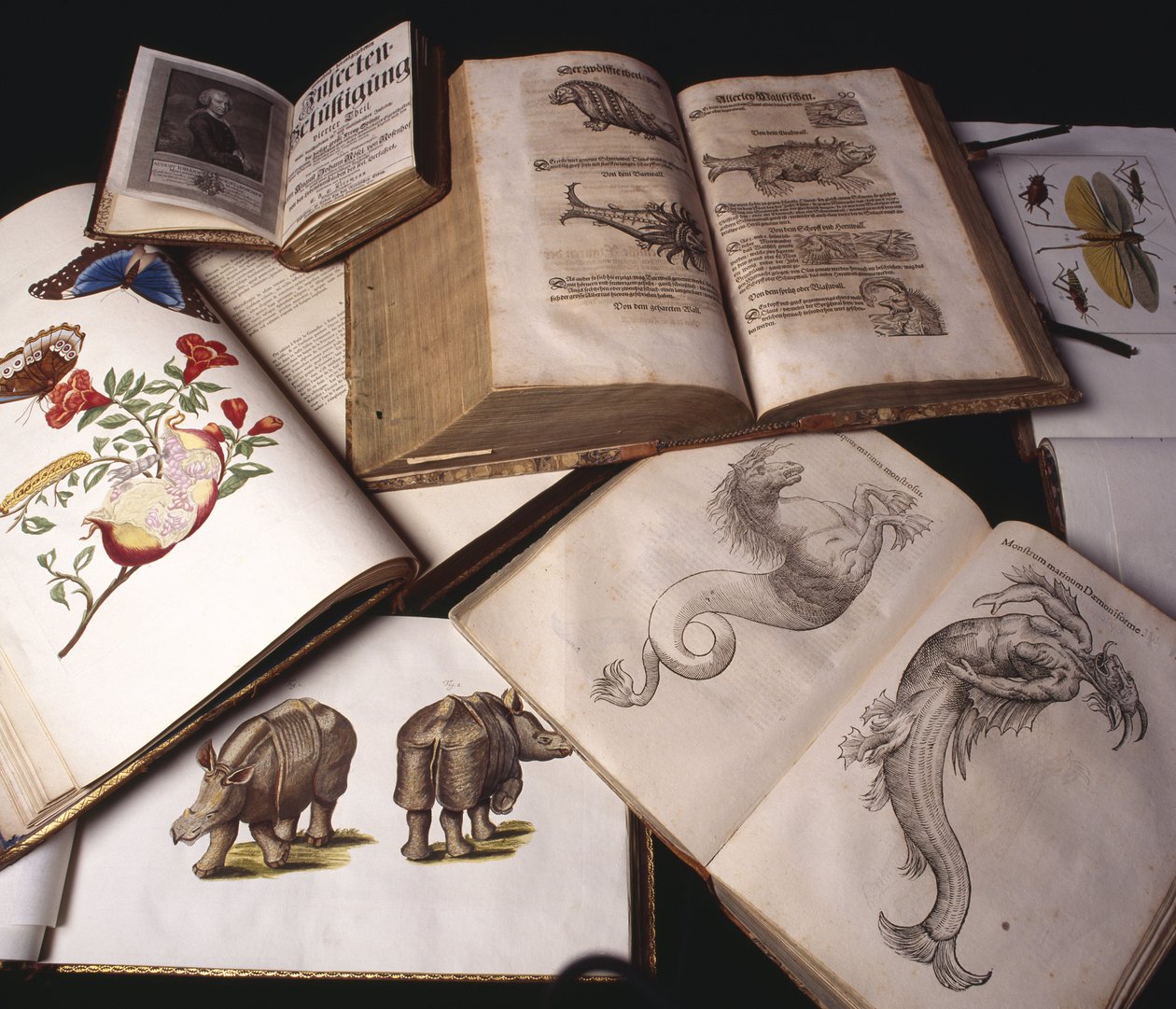 Libros de Zoología Antigua de Unbekannt