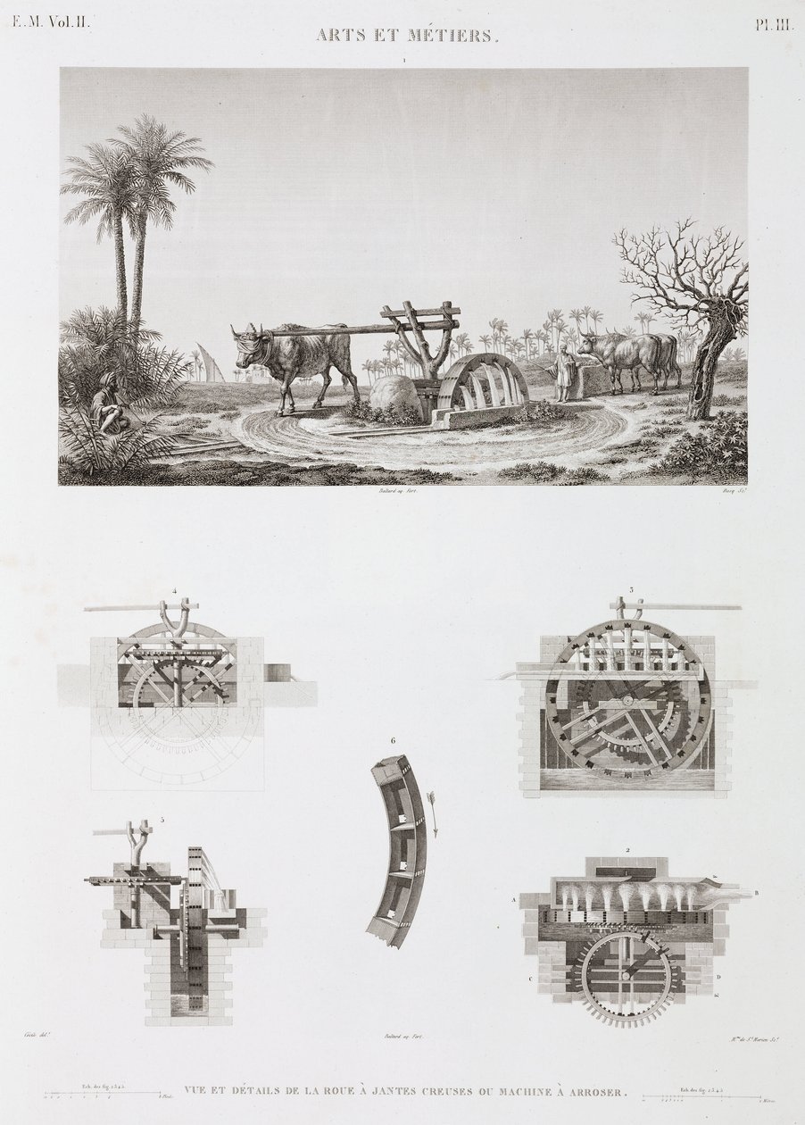 Irrigación con tracción animal, Egipto, c. 1798 de Unbekannt