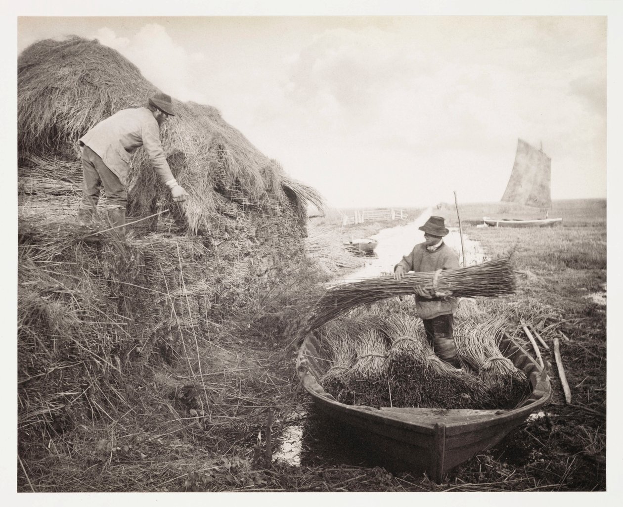 Agricultura, recolección de la caña (recolte et empilage des roseaux) de Unbekannter Künstler