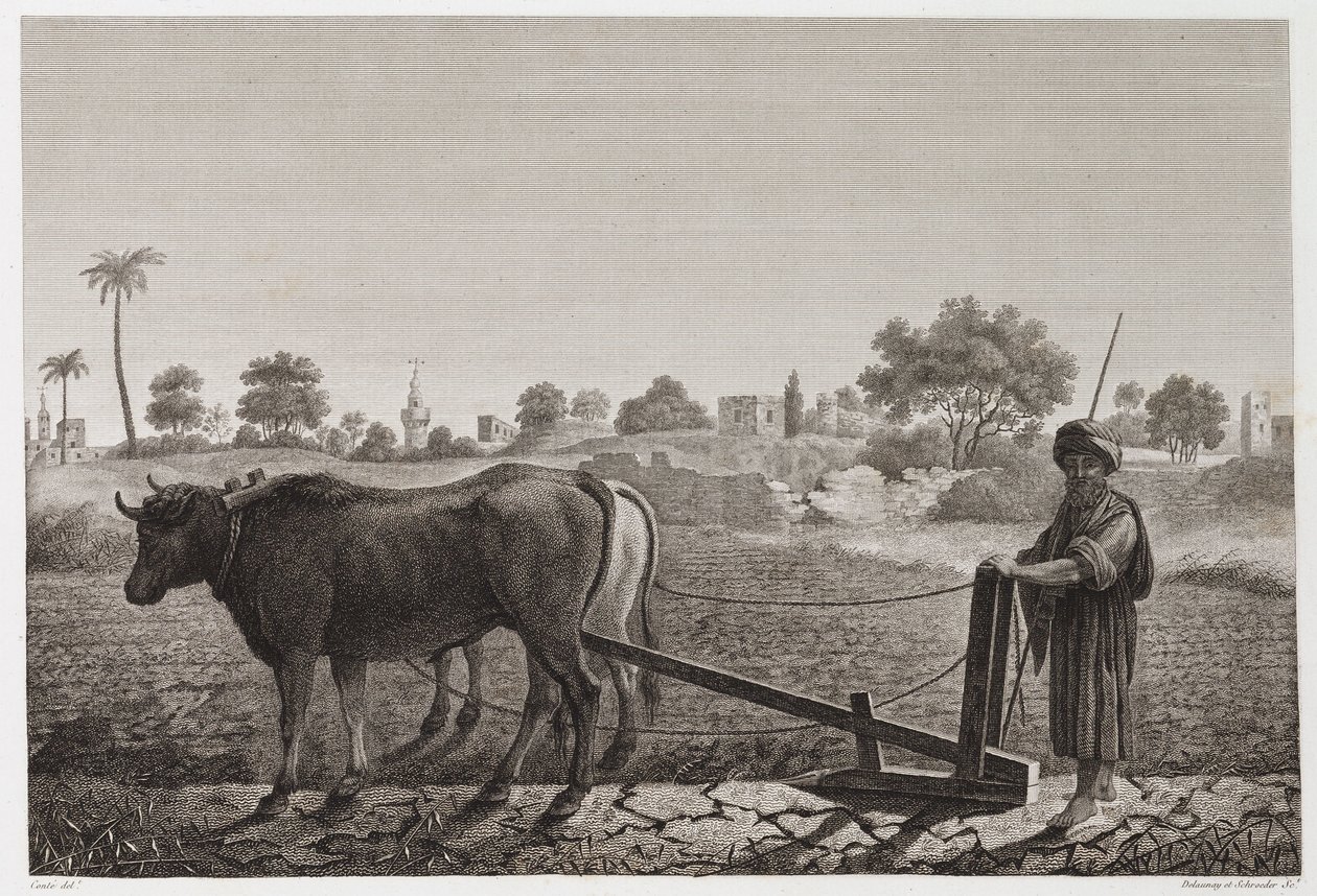 Arado con bueyes, Egipto, c. 1798 de Unbekannt