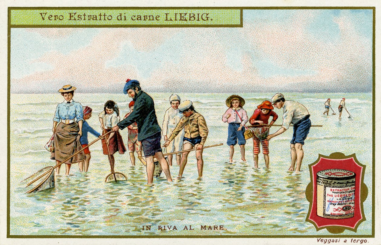 A la orilla del mar: Pesca con redes de Unbekannter Künstler